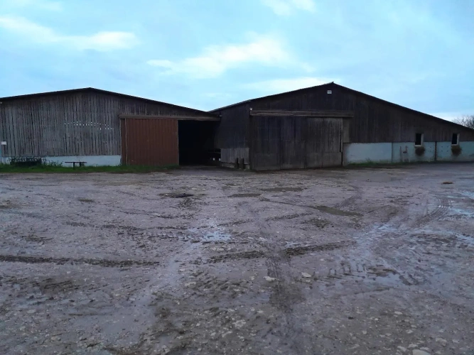 Photos 3 - Agricole - EXPLOITATION LAITIERE BIO A TRANSMETTE      HAUTE SAONE