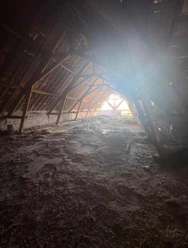 Photos 40 - Rurale - Propriete à vendre 7 pièces  ()