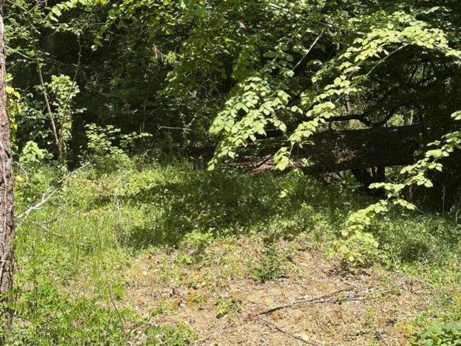 Photos 16 - Prestige - MARCIAC(32): cachée, au bout d'un chemin privé, PROPRIETE sur 2ha, anciens Bains avec sa source encore présente, dépendance, authenticité assurée !
