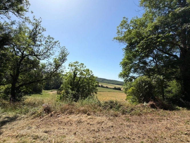 Photos 33 - Prestige - MARCIAC(32): cachée, au bout d'un chemin privé, PROPRIETE sur 2ha, anciens Bains avec sa source encore présente, dépendance, authenticité assurée !