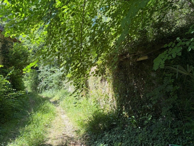 Photos 35 - Prestige - MARCIAC(32): cachée, au bout d'un chemin privé, PROPRIETE sur 2ha, anciens Bains avec sa source encore présente, dépendance, authenticité assurée !