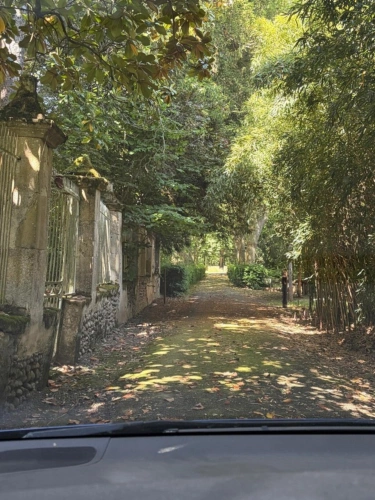 Photos 20 - Prestige - Gers(32), TRES BEAU CHATEAU DE FAMILLE 45HA avec dependances, un peu caché, en position dominante, une belle histoire