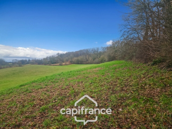 Photos 7 - Agricultural - Prairie, terrain de 2.3 hactares avec source