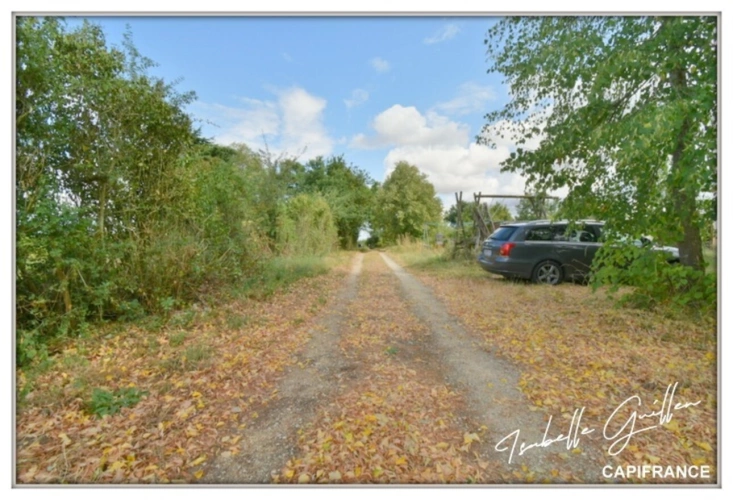 Photos 7 - Equestrian - Property for sale in Touchay: 2 houses with 4.5 hectares TOUCHAY (18)