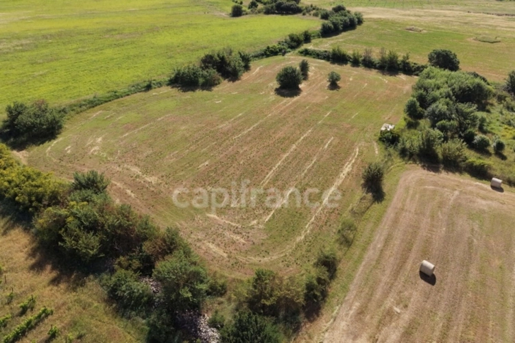 Photos 2 - Agricole - Parcelles agricoles 12 000 m² - JUNAS (GARD)