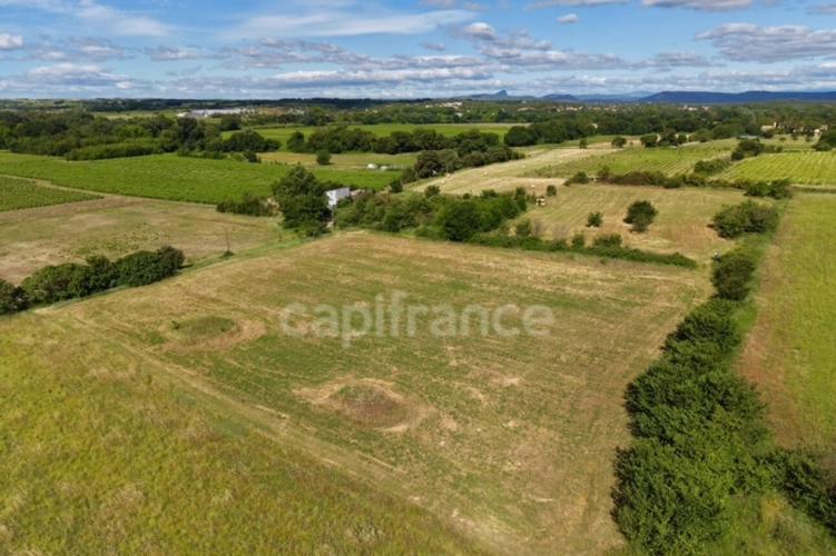 Photos 3 - Agricole - Parcelles agricoles 12 000 m² - JUNAS (GARD)