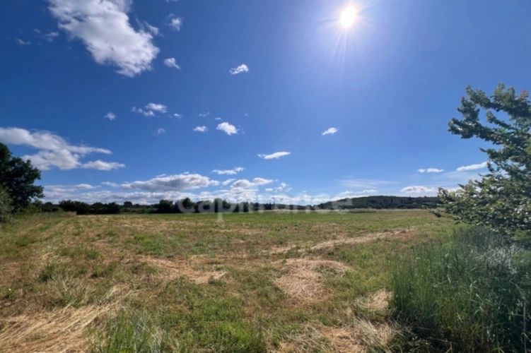 Photos 4 - Agricole - Parcelles agricoles 12 000 m² - JUNAS (GARD)