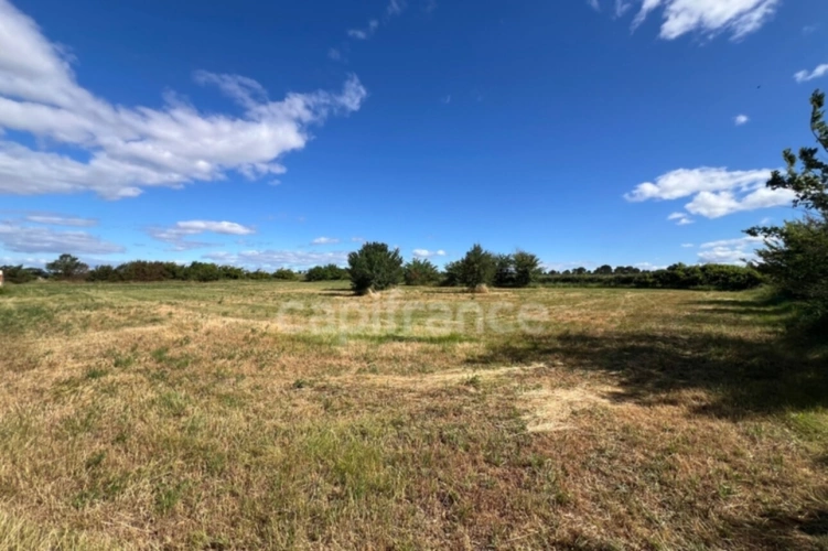 Photos 5 - Agricole - Parcelles agricoles 12 000 m² - JUNAS (GARD)