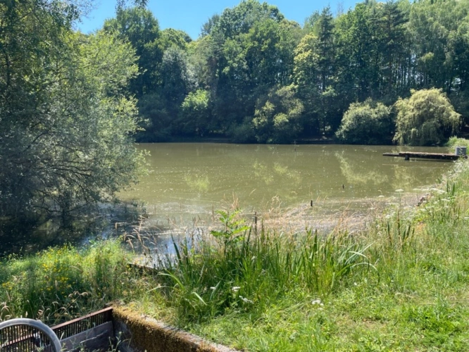 Photos 2 - Rurale - Petit coin de paradis avec étang et mobile-home – Proche Nexon