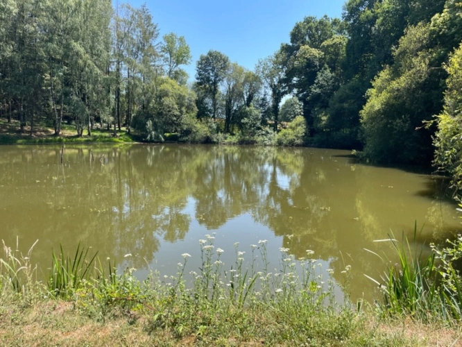 Photos 4 - Rurale - Petit coin de paradis avec étang et mobile-home – Proche Nexon