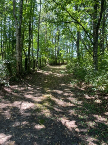 Photos 5 - Rurale - Petit coin de paradis avec étang et mobile-home – Proche Nexon