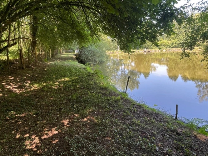Photos 7 - Rurale - Petit coin de paradis avec étang et mobile-home – Proche Nexon