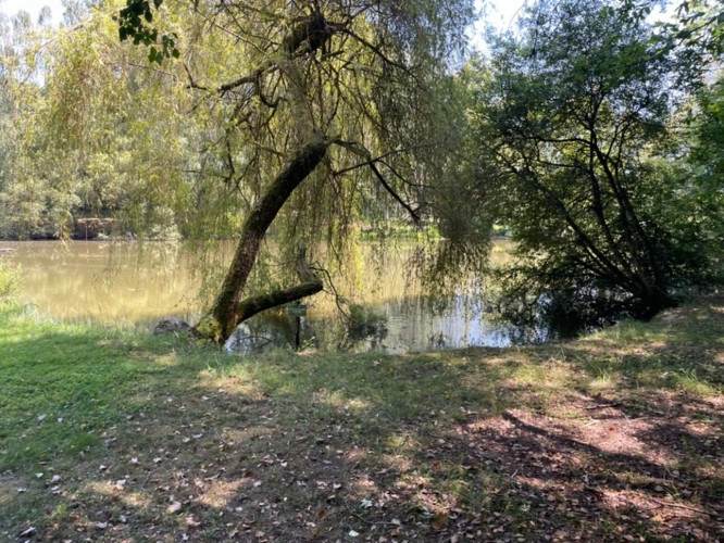 Photos 9 - Rurale - Petit coin de paradis avec étang et mobile-home – Proche Nexon
