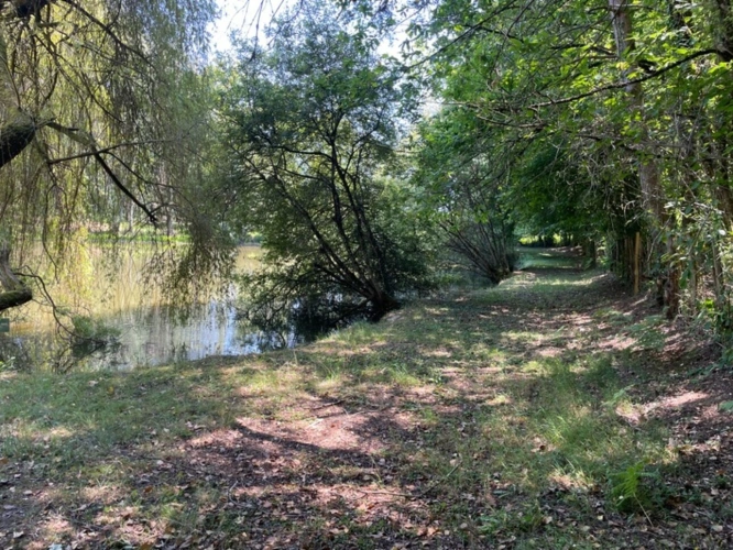 Photos 15 - Rurale - Petit coin de paradis avec étang et mobile-home – Proche Nexon