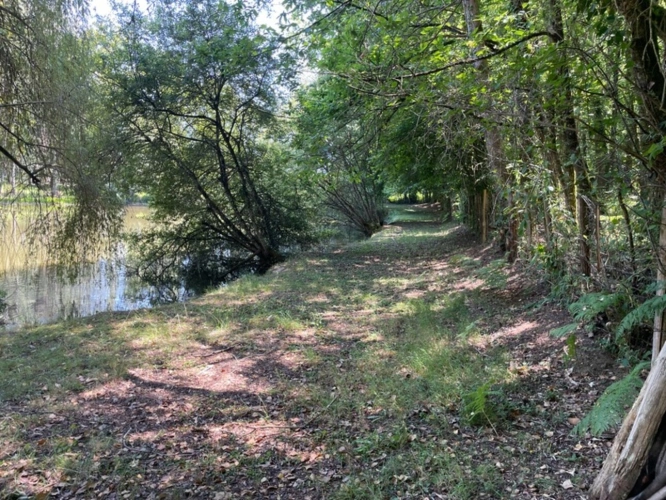 Photos 16 - Rurale - Petit coin de paradis avec étang et mobile-home – Proche Nexon