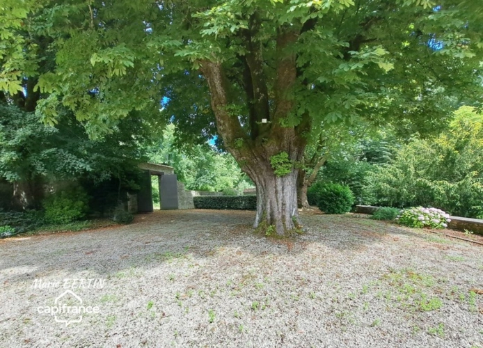 Photos 32 - Équestre - Propriété à vendre 11 pièces CELLES SUR BELLE (79)
