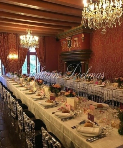 Photos 5 - Prestige - Propriete à vendre 50 pièces proche de TOURS (37)