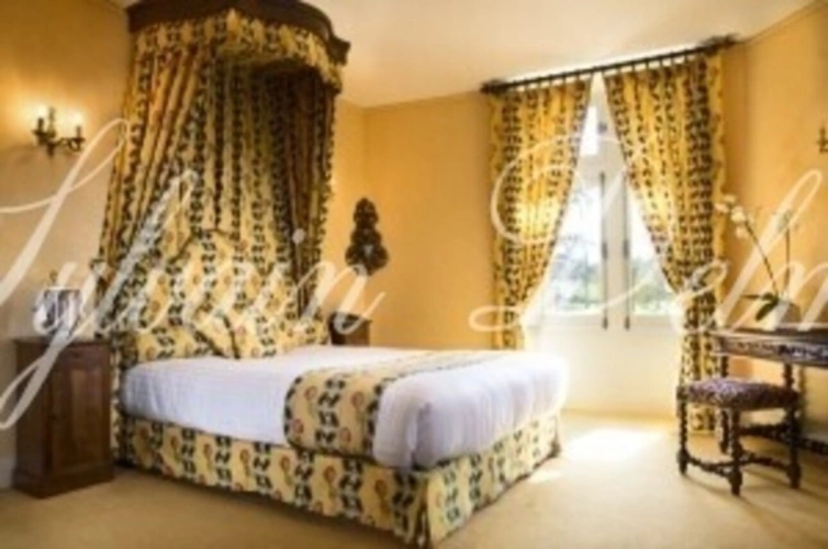 Photos 10 - Prestige - Propriete à vendre 50 pièces proche de TOURS (37)