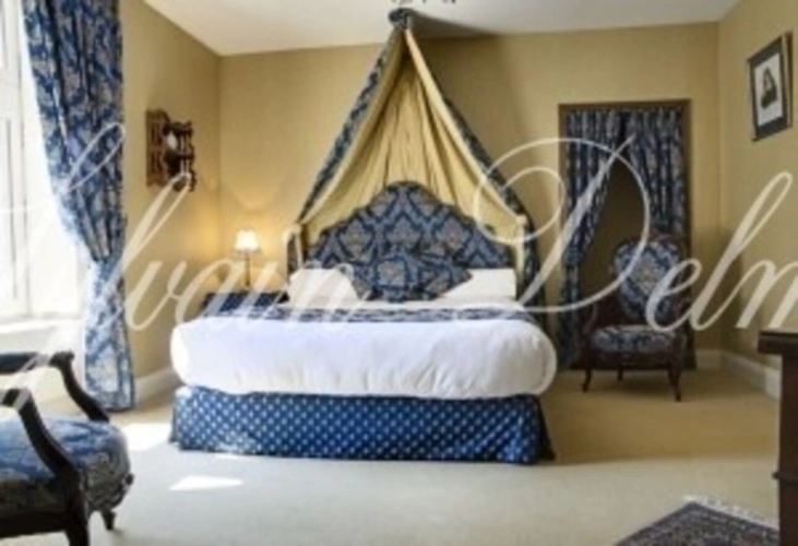 Photos 12 - Prestige - Propriete à vendre 50 pièces proche de TOURS (37)