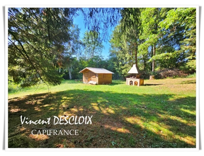 Photos 2 - Forestière - Terrain 19 965m² avec étang à vendre  GIEN SUR CURE (58230)