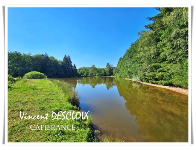 Photos 21 - Forestière - Terrain 19 965m² avec étang à vendre  GIEN SUR CURE (58230)