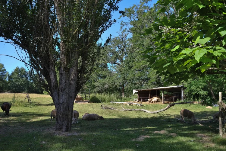 Photos 8 - Équestre - Propriété de caractère