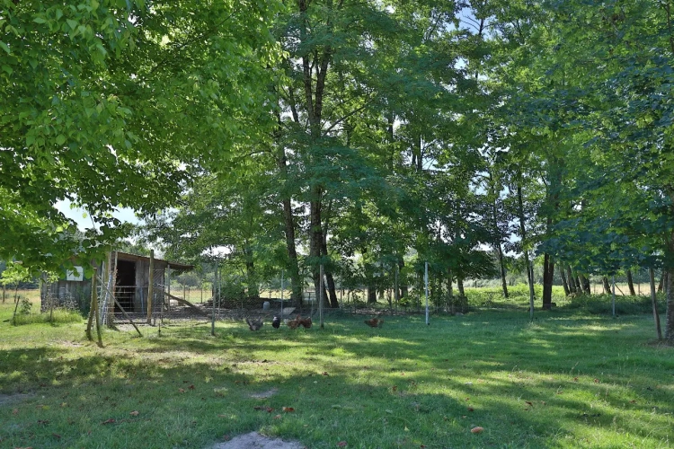 Photos 9 - Équestre - Propriété de caractère