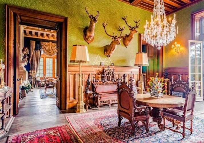 Photos 19 - Prestige - Au cœur de la Sologne, Un château d'inspiration néogothique et Renaissance, de 3000 m2 sur un 53ha