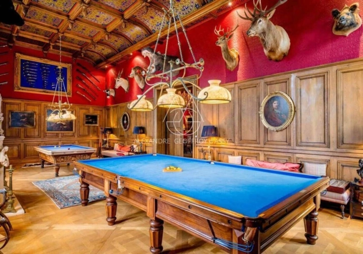 Photos 20 - Prestige - Au cœur de la Sologne, Un château d'inspiration néogothique et Renaissance, de 3000 m2 sur un 53ha