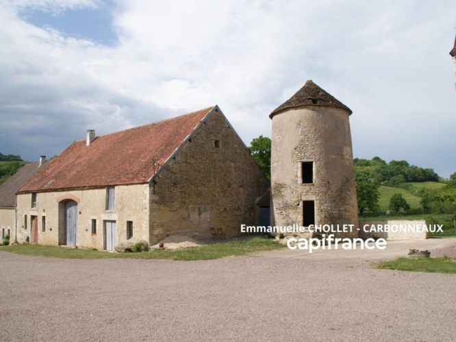 Photos 2 - Touristique - Demeure historique PRECY-SOUS-THIL composée de 15 pièces (390 m²) et 950 m² de dépendances