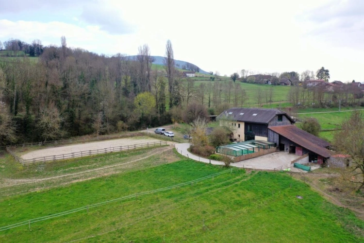 Photos 1 - Équestre - Baisse de Prix - Écurie active - Propriété équestre avec f