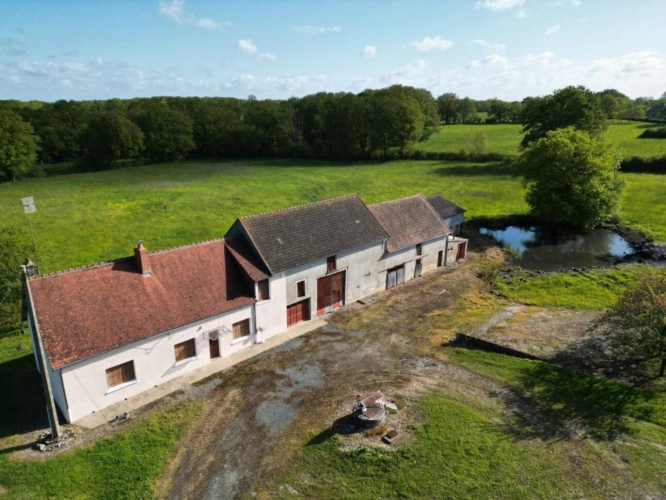 Photos 4 - Rural - Small farm in Brenne on 8 hectares 79 ares