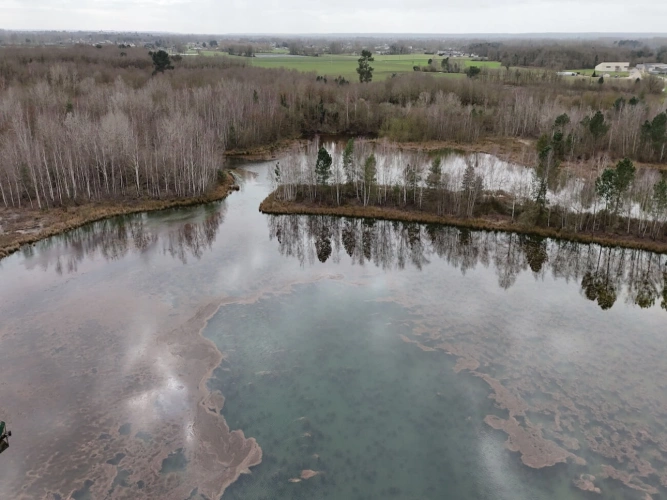 Photos 1 - Forestière - PROPRIÉTÉ DE CHASSE ET PÊCHE : DEUX ÉTANGS ET PARCELLES BOISÉES