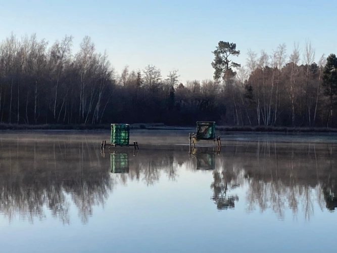 Photos 3 - Forestière - PROPRIÉTÉ DE CHASSE ET PÊCHE : DEUX ÉTANGS ET PARCELLES BOISÉES