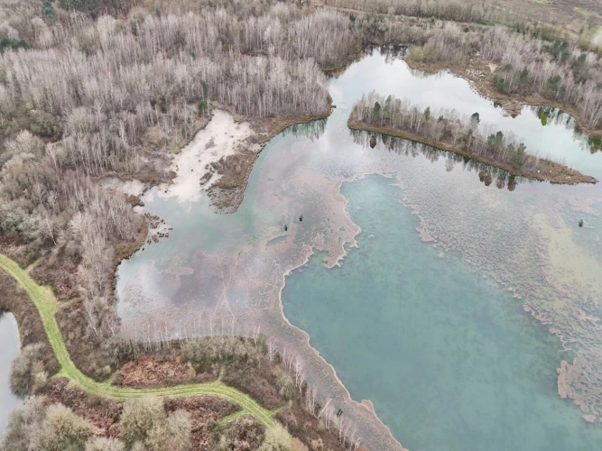 Photos 6 - Forestière - PROPRIÉTÉ DE CHASSE ET PÊCHE : DEUX ÉTANGS ET PARCELLES BOISÉES