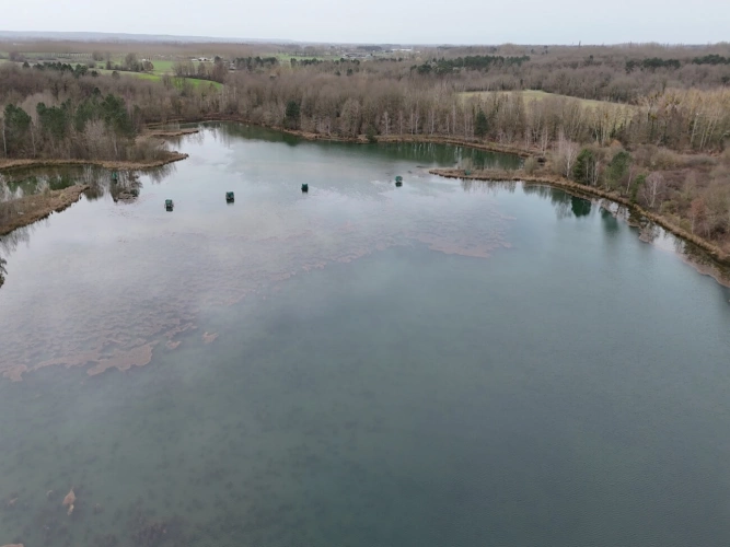 Photos 7 - Forestière - PROPRIÉTÉ DE CHASSE ET PÊCHE : DEUX ÉTANGS ET PARCELLES BOISÉES