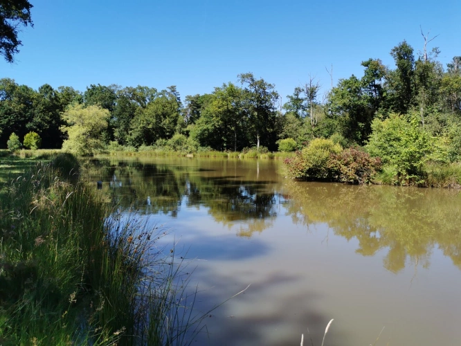 Photos 4 - Rurale - Etang et Mobil-home