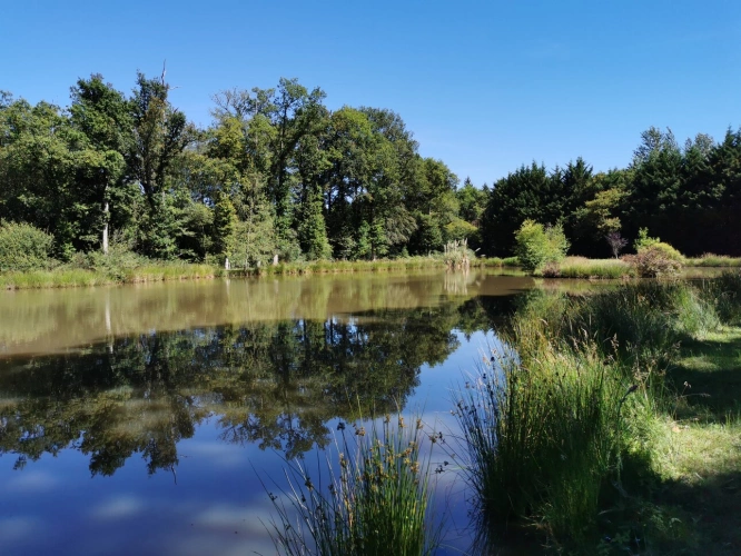 Photos 5 - Rurale - Etang et Mobil-home