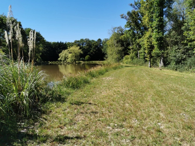 Photos 6 - Rurale - Etang et Mobil-home