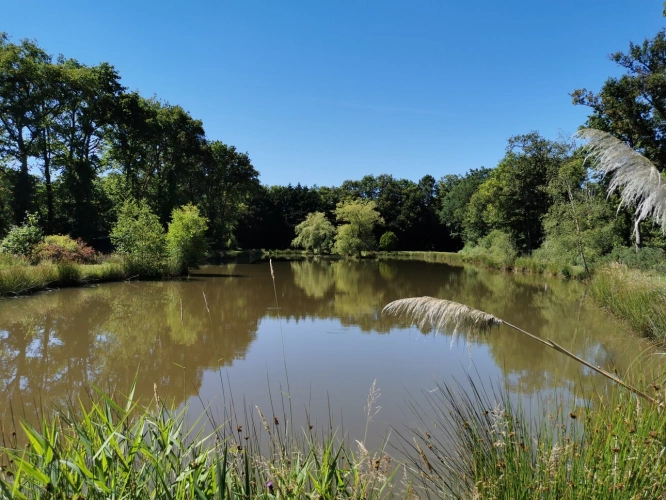 Photos 1 - Rurale - Etang et Mobil-home