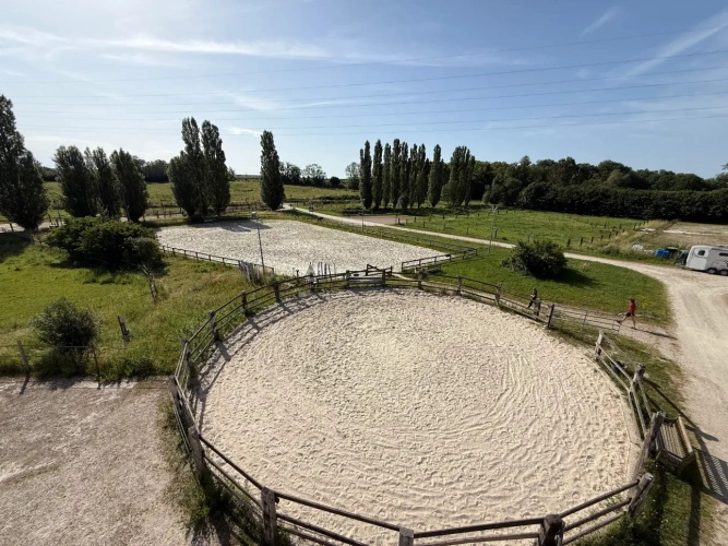 Photos 1 - Équestre - Centre équestre professionnel en Seine et Marne