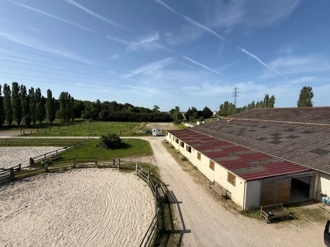Photos 2 - Équestre - Centre équestre professionnel en Seine et Marne