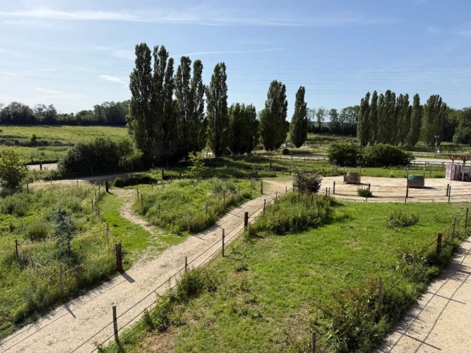 Photos 3 - Équestre - Centre équestre professionnel en Seine et Marne