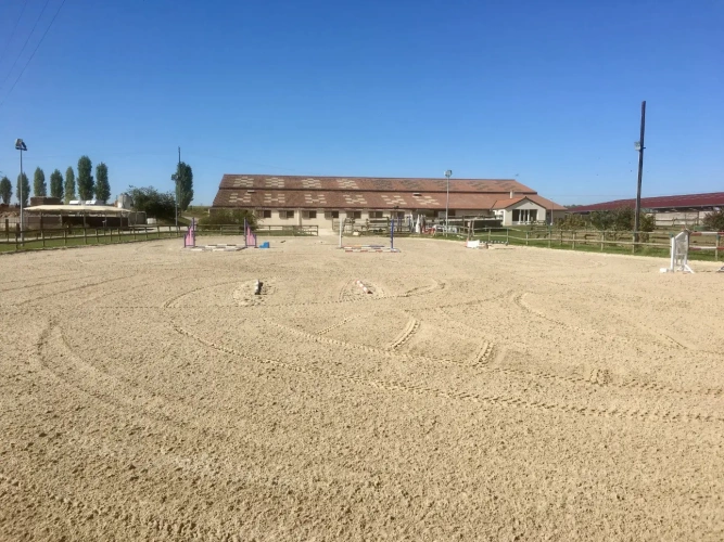 Photos 6 - Équestre - Centre équestre professionnel en Seine et Marne