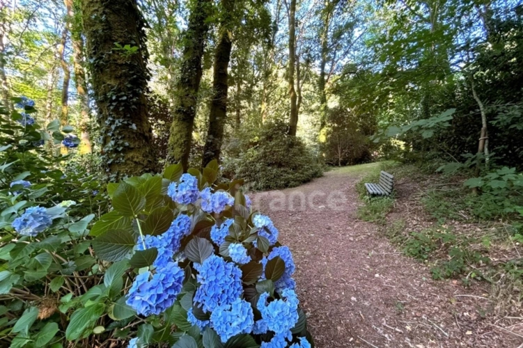 Photos 1 - Rurale - Terrain en zone naturelle et forestière boisé et fleuri de 4 880,00 m² proche de QUIMPER (29)