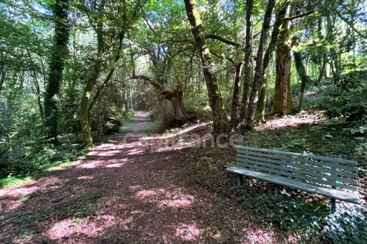 Photos 2 - Rurale - Terrain en zone naturelle et forestière boisé et fleuri de 4 880,00 m² proche de QUIMPER (29)