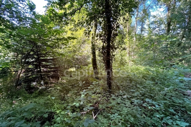 Photos 4 - Rurale - Terrain en zone naturelle et forestière boisé et fleuri de 4 880,00 m² proche de QUIMPER (29)