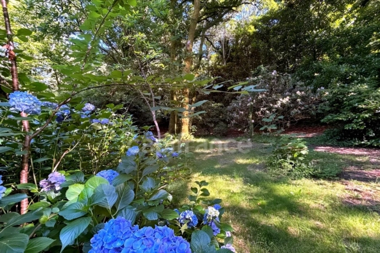 Photos 5 - Rurale - Terrain en zone naturelle et forestière boisé et fleuri de 4 880,00 m² proche de QUIMPER (29)