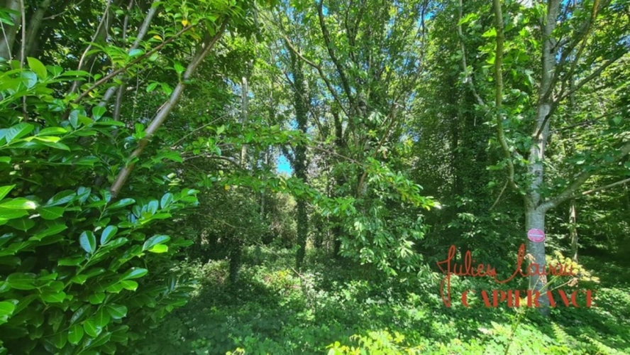 Photos 1 - Forest - Terrain à vendre  SCAER (29) - Environ 4,5 Ha