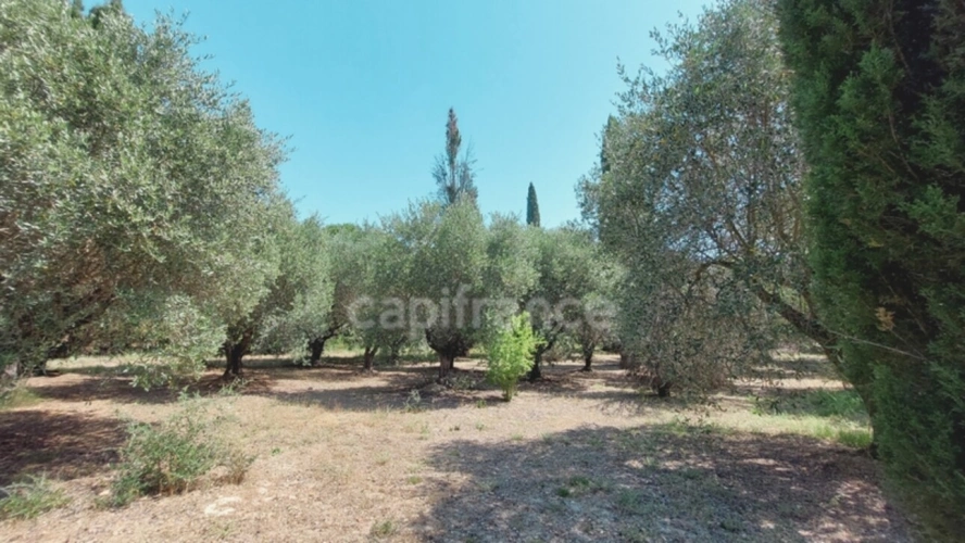 Photos 11 - Prestige - Propriete à vendre 7 pièces SAINT REMY DE PROVENCE (13)